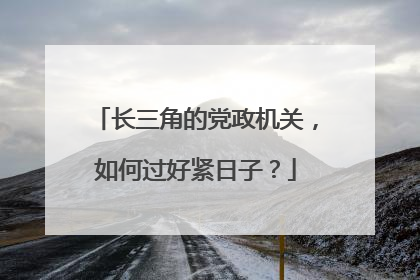 长三角的党政机关，如何过好紧日子？