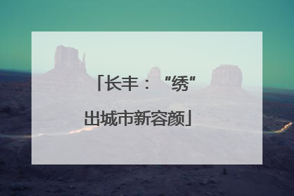 长丰：“绣”出城市新容颜