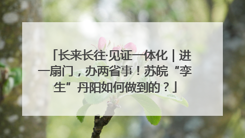长来长往·见证一体化｜进一扇门，办两省事！苏皖“孪生”丹阳如何做到的？