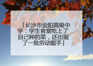 长沙市金阳高级中学：学生食堂吃上了自己种的菜，还出现了一批劳动能手