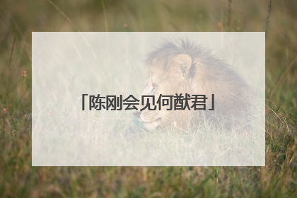 陈刚会见何猷君