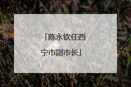 陈永钦任西宁市副市长