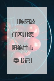 陈阳波任四川德阳绵竹市委书记