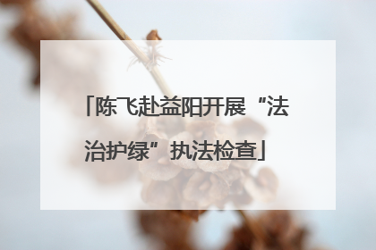 陈飞赴益阳开展“法治护绿”执法检查