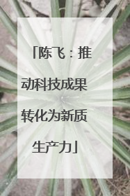 陈飞：推动科技成果转化为新质生产力