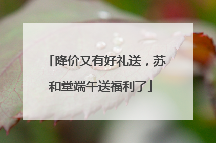 降价又有好礼送，苏和堂端午送福利了
