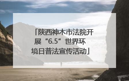 陕西神木市法院开展“6.5”世界环境日普法宣传活动