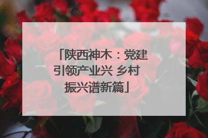 陕西神木：党建引领产业兴 乡村振兴谱新篇
