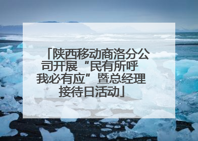 陕西移动商洛分公司开展“民有所呼 我必有应”暨总经理接待日活动