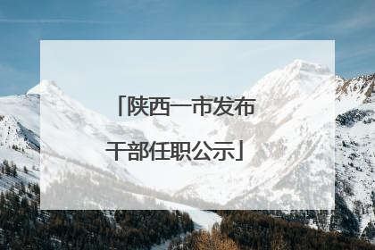 陕西一市发布干部任职公示