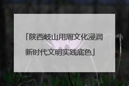 陕西岐山用周文化浸润新时代文明实践底色