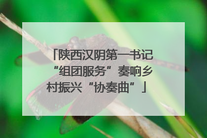 陕西汉阴第一书记“组团服务”奏响乡村振兴“协奏曲”