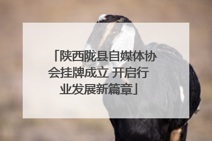 陕西陇县自媒体协会挂牌成立 开启行业发展新篇章