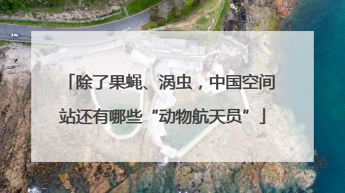 除了果蝇、涡虫，中国空间站还有哪些“动物航天员”