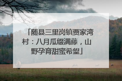 随县三里岗镇贾家湾村：八月瓜缀满藤，山野孕育甜蜜希望