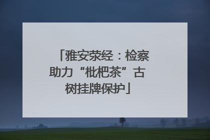 雅安荥经：检察助力“枇杷茶”古树挂牌保护
