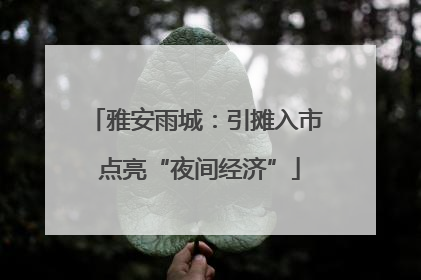 雅安雨城：引摊入市 点亮“夜间经济”