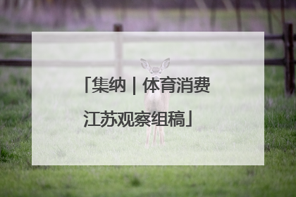 集纳｜体育消费江苏观察组稿