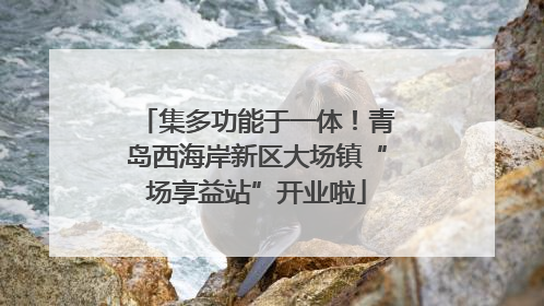集多功能于一体！青岛西海岸新区大场镇“场享益站”开业啦