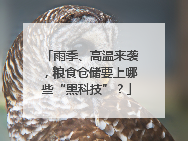 雨季、高温来袭，粮食仓储要上哪些“黑科技”？