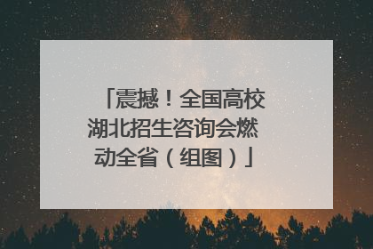 震撼！全国高校湖北招生咨询会燃动全省（组图）