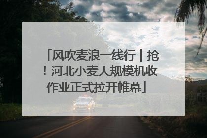 风吹麦浪一线行｜抢！河北小麦大规模机收作业正式拉开帷幕