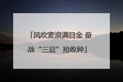 风吹麦浪满目金 奋战“三夏”抢收种