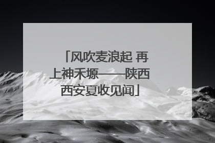 风吹麦浪起 再上神禾塬——陕西西安夏收见闻