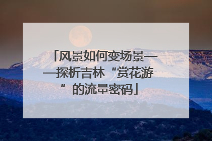 风景如何变场景——探析吉林“赏花游”的流量密码
