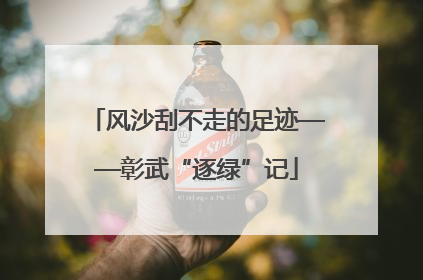 风沙刮不走的足迹——彰武“逐绿”记