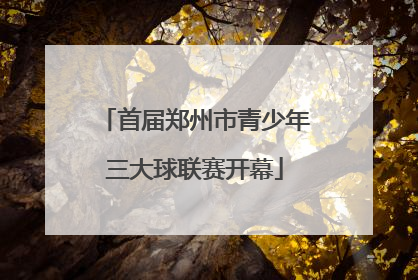 首届郑州市青少年三大球联赛开幕