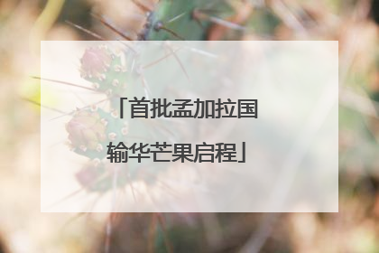 首批孟加拉国输华芒果启程