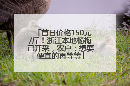 首日价格150元/斤！浙江本地杨梅已开采，农户：想要便宜的再等等