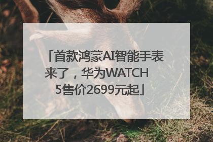 首款鸿蒙AI智能手表来了，华为WATCH 5售价2699元起