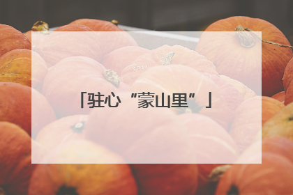 驻心“蒙山里”