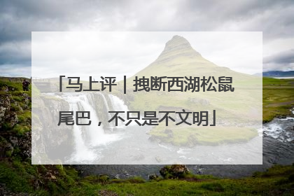 马上评｜拽断西湖松鼠尾巴，不只是不文明