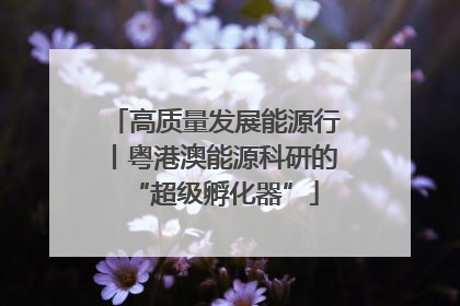 高质量发展能源行丨粤港澳能源科研的“超级孵化器”