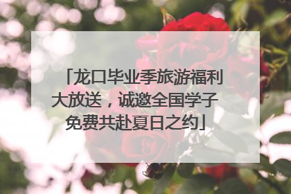 龙口毕业季旅游福利大放送，诚邀全国学子免费共赴夏日之约
