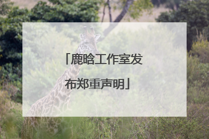 鹿晗工作室发布郑重声明
