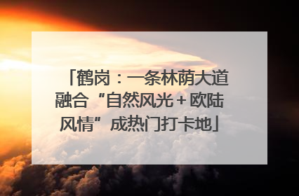 鹤岗：一条林荫大道融合“自然风光＋欧陆风情”成热门打卡地