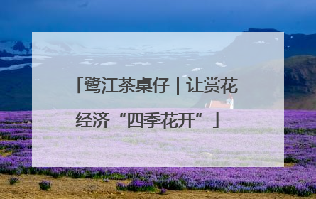 鹭江茶桌仔｜让赏花经济“四季花开”