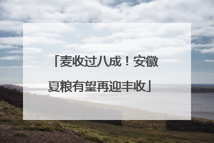 麦收过八成！安徽夏粮有望再迎丰收