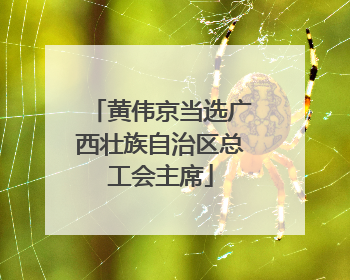 黄伟京当选广西壮族自治区总工会主席