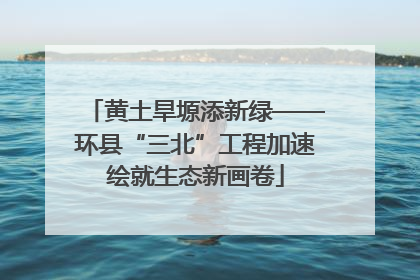 黄土旱塬添新绿——环县“三北”工程加速绘就生态新画卷