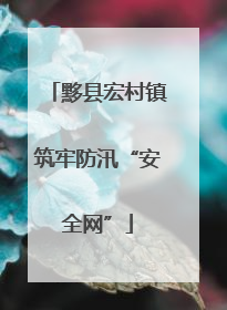 黟县宏村镇筑牢防汛“安全网”
