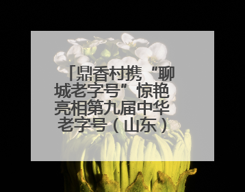 鼎香村携“聊城老字号”惊艳亮相第九届中华老字号（山东）博览会