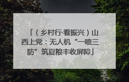 （乡村行·看振兴）山西上党：无人机“一喷三防”筑夏粮丰收屏障