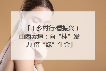 （乡村行·看振兴）山西襄垣：向“林”发力 借“绿”生金