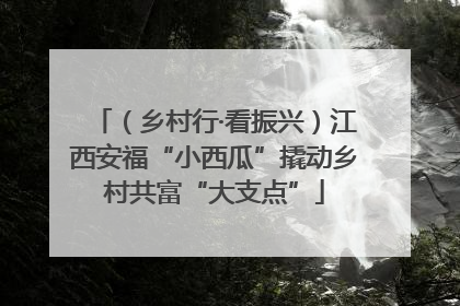 （乡村行·看振兴）江西安福“小西瓜”撬动乡村共富“大支点”