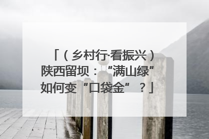 （乡村行·看振兴）陕西留坝：“满山绿”如何变“口袋金”？